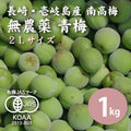 【先行予約】【10%OFF】無農薬 南高梅 青梅 1kg ＜2Lサイズ＞【数量限定】【6月以降順次発送予定】
