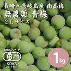 【先行予約】【10%OFF】無農薬 南高梅 青梅 1kg ＜2Lサイズ＞【数量限定】【6月以降順次発送予定】