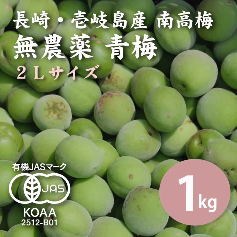 【先行予約】【10%OFF】無農薬 南高梅 青梅 1kg ＜2Lサイズ＞【数量限定】【6月以降順次発送予定】