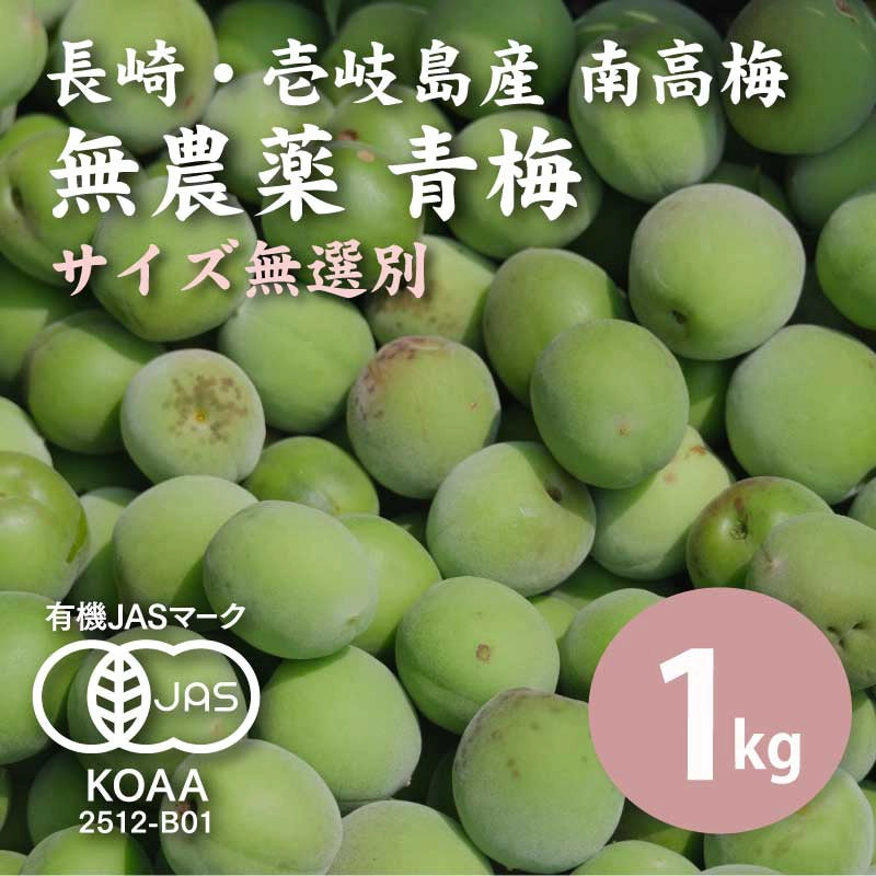 【先行予約】【10%OFF】無農薬 南高梅 青梅 1kg <無選別>【数量限定】【6月以降順次発送予定】