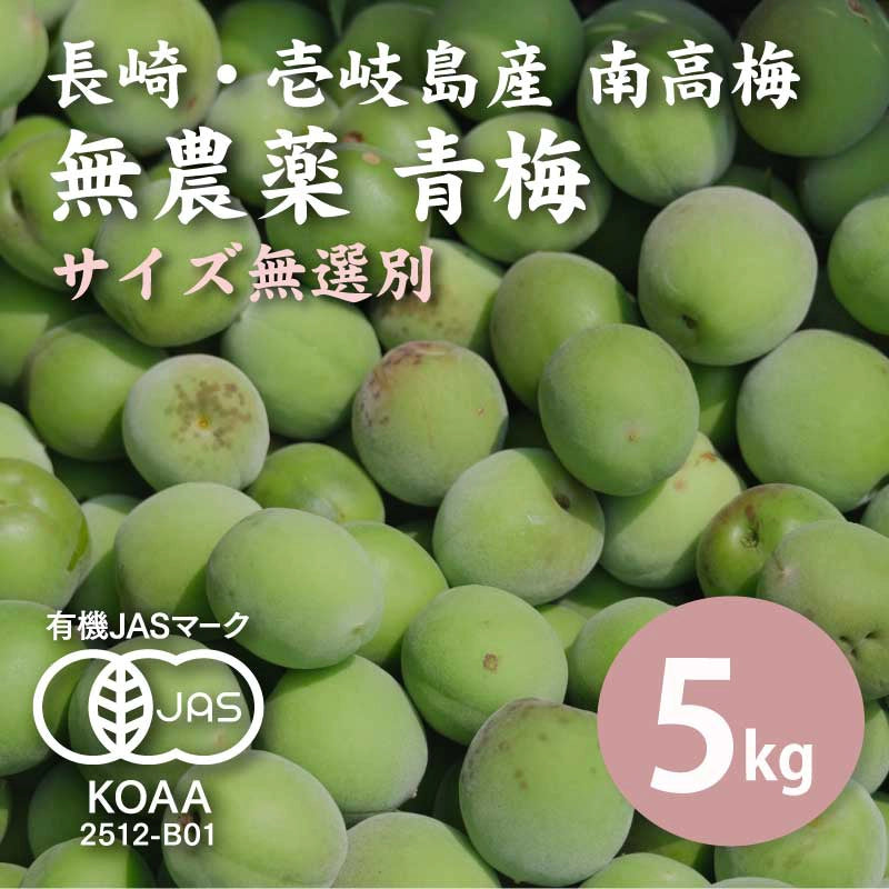 【先行予約】【10%OFF】無農薬 南高梅 青梅 5kg <無選別>【数量限定】【6月以降順次発送予定】