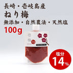 壱梅 ねり梅タイプ 100g