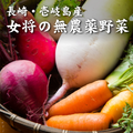 壱岐産・平山旅館女将の無農薬野菜 旬のおまかせ